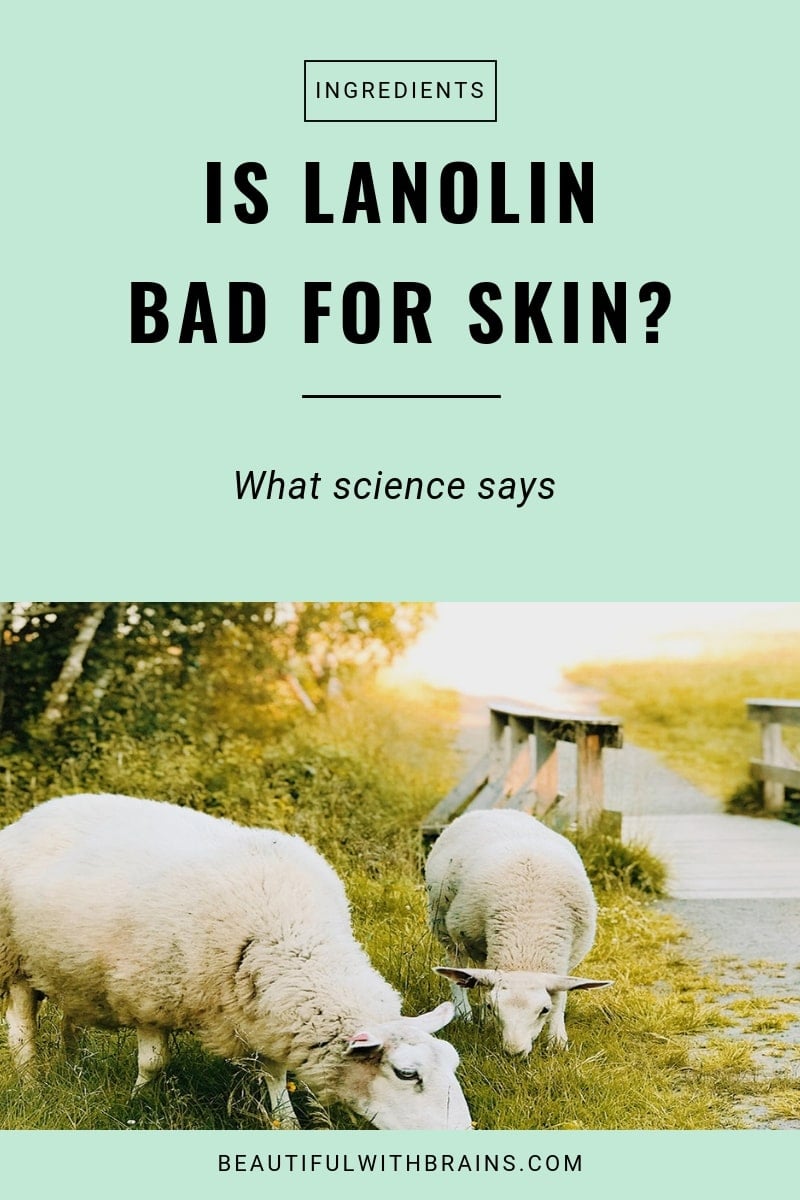 is lanolin good or bad for skin