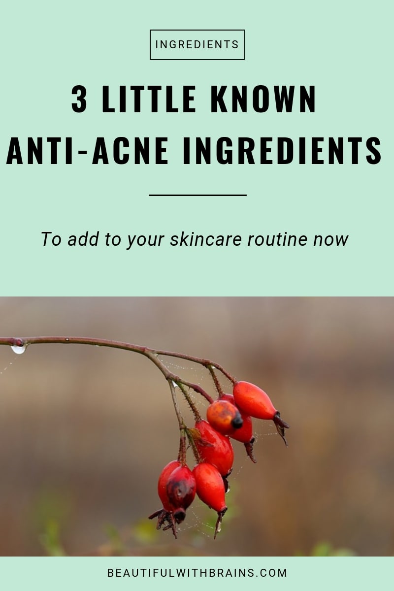 little known anti-acne ingredients